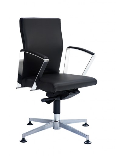 Drehstuhl CLASSIC LINE 8253
