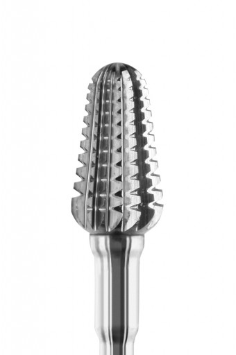 FRAISES AVEC DENTURE GQSR
